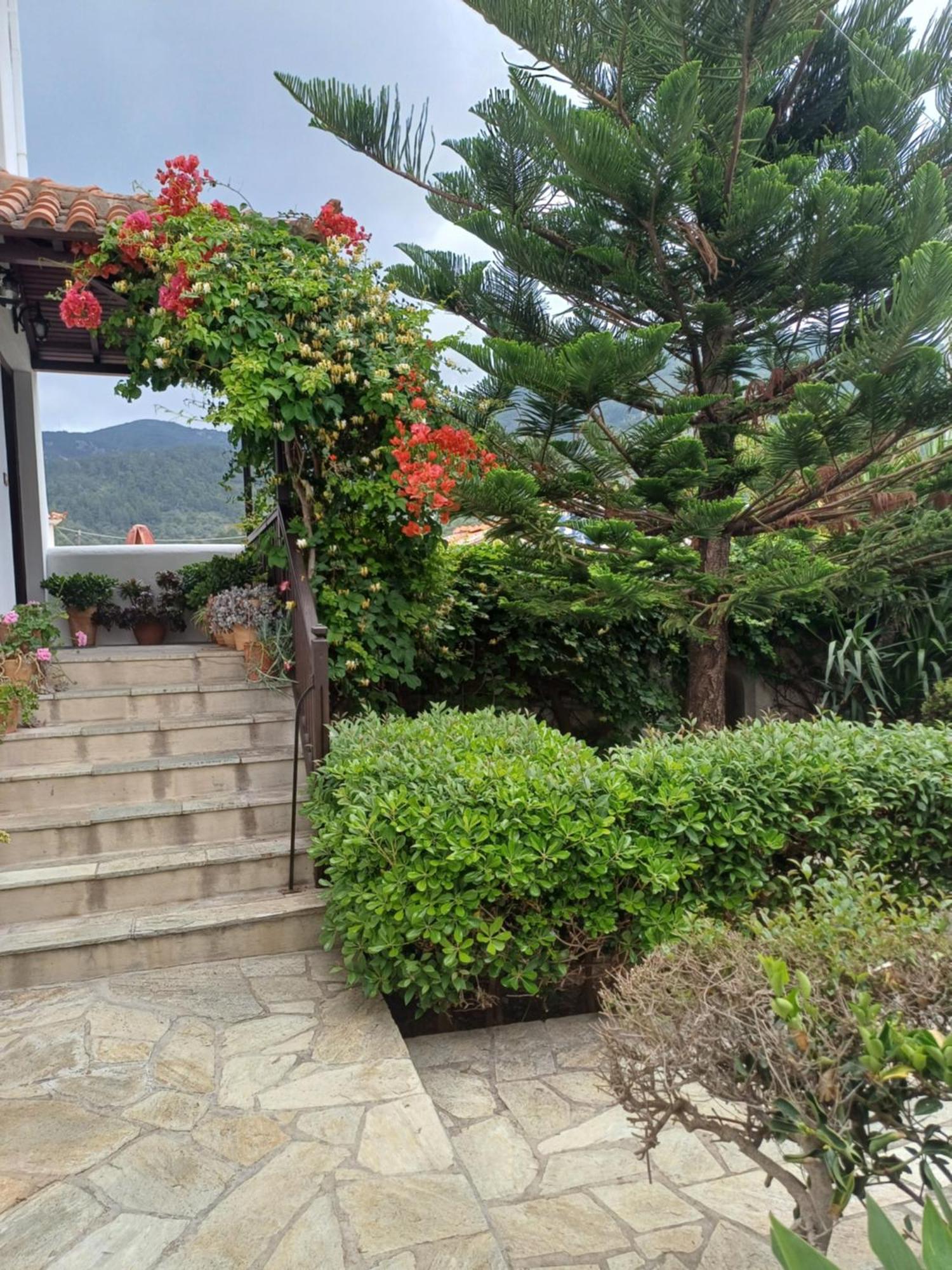 Nikolaos Studios Apartments Skopelos Town Exterior photo